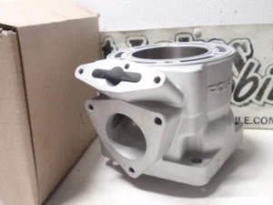 Polaris 700 VES 3021340 Cylinder Snowmobile XC Reman 3021203 $100 Core Refund - Bild 1 von 1