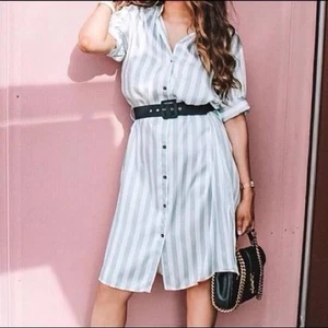 BNWT ZARA Light Grey Midi Ecru Striped Satin Shirt Dress with Black Belt Size S - Picture 1 of 9
