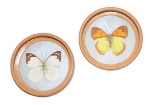 Set 2 sottobicchieri farfalla vintage copri vetro bambù MCM Granny Core Nature - Foto 1 di 4