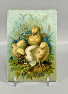 Carta commerciale vittoriana di pulcino che si schiude dall'uovo ~ alterata - Foto 1 di 2