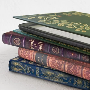 Kindle Paperwhite and Universal eReader Case with Classic Book Covers - Picture 1 of 9