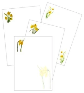 Narzisse Blumen Brief Schreibpapier - A5 100 gsm Premium weiß (ca. optional) - Bild 1 von 4