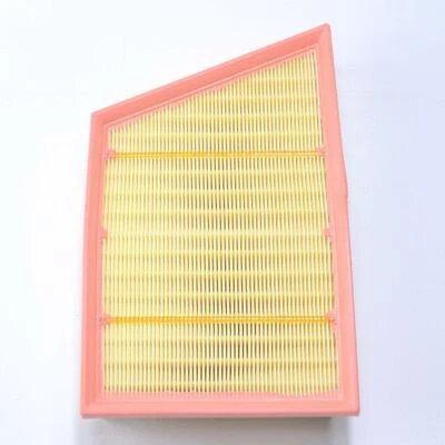 Elemento de filtro de aire del motor para Land Rover Range Rover Evoque 2012-17 BJ329601AA Foto 1 de 4