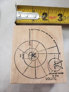 Stampa Rosa I59-564 2000 diagrama ampliado de ojo voluta sello de goma - Imagen 1 de 3