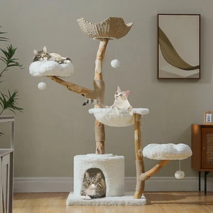 PAWZ Road Modern Cat Tree Tower Scratching Post Solid Wood Cat Condo House Beds - Picture 1 of 39