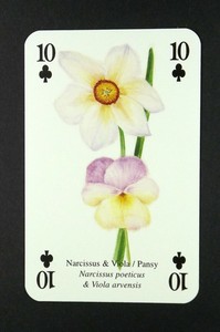 1 x playing card Garden Flower Narcissus & Viola / Pansy ≠ 10 of Clubs ≠ T13