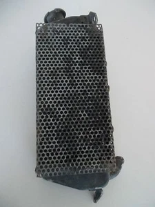 87 KTM 250GS Right Radiator Rad Cooling KTM 250 GS 1987 - Bild 1 von 2