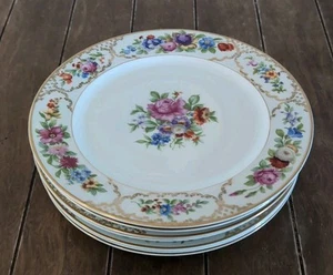 Set of 7 Rosenthal "The Dresden" Floral Dinner Plates 10" - Picture 1 of 7