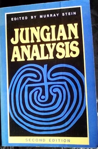 br5 ESOTRIC BOOK psychology / psychotherapy 462 pages JUNGIAN ANALYSIS 2 ND ED - Bild 1 von 4