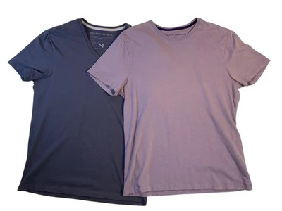Lote 2 camisetas Banana Republic lavado medio suave púrpura gris pizarra manga corta Foto 1 de 4