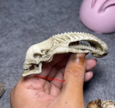 1/12 Scale Predator Spoils Alien Model For 6'' Action Figure Accessory Display - Image 1 of 4