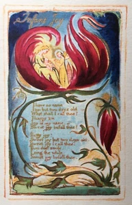 William Blake, superb Vintage Trianon press facsimile, Infant Joy - Picture 1 of 4