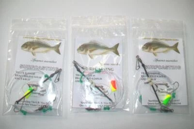 SURFCASTING 3 TERMINALI 1AMO CON TRAVETTO 7CM E FLOTTER PER SARAGHI E ORATE - Immagine 1 di 2