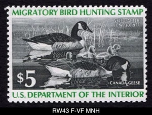 RW43 F-VF MNH 1976 Canada Geese US Federal Duck Stamp Migratory Waterfowl - Picture 1 of 3