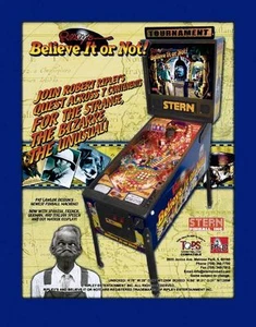 Flipper ROM CPU und DISPLAY SET (2 Chips) Stern Ripley's Believe It Or Not - Bild 1 von 1