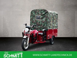 Neu , der MEGA Elektro Lastendreirad 39 km /h 2000 W MOTOR als Cabrio - Bild 1 von 17