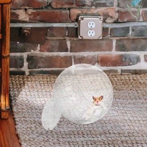 Hamster Exercise Running Ball 10cm White Safe Plastic Small Pet Toy - Picture 1 of 12
