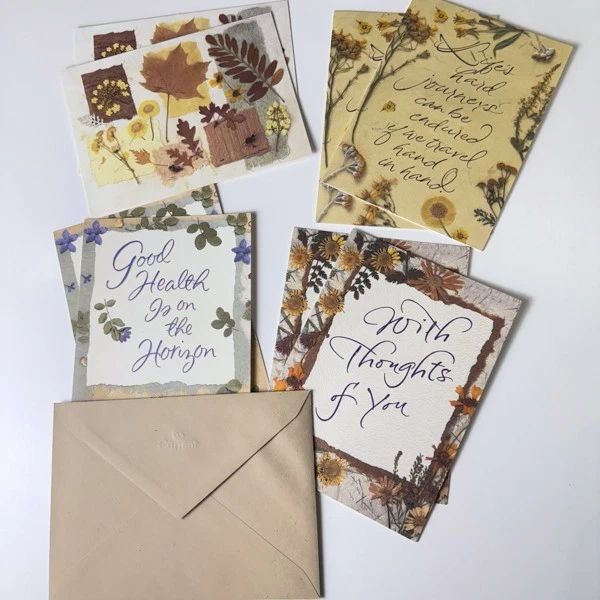 Get Well Assortment~8 Nature Greeting Cards with envelopes~5" X 7"~Current Brand - Image 1 of 4