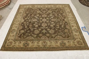 11'10" x 11'10" ft. High Twist Vegetable Dye Hand Knotted Oriental Square Rug - Picture 1 of 7