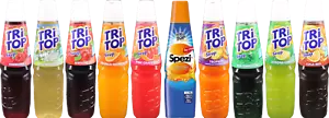 TRi TOP Getränkesirup Sirup Konzentrat Geschmack Sprudler viele Sorten 600ml - Bild 1 von 30