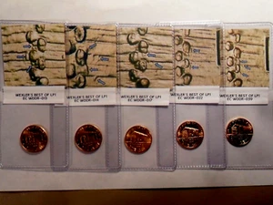 2009-P LP1 EC WDDR-013/-014/-017/-022/-039 "BEST OF" ERROR LINCOLN CENT 5 PC SET - Picture 1 of 6