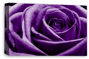 Floral Wall Art Purple Living Room Bedroom Framed Canvas Picture Ready to Hang - Picture 1 of 6