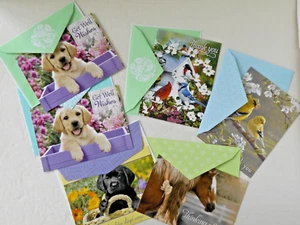 CUTE ANIMAL GREETING CARDS 5 DESIGNS & MATCHING ENVELOPS ~ NEW - Picture 1 of 12