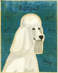 Poodle White, John W Golden, Art Print Poster 14" x 11" 995 - Picture 1 of 1