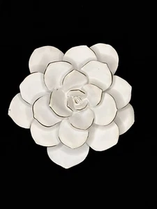 Weiße Blume Wanddeko 3D Harz Sukkulenten Pflanzen - Wandbehang Deko - Bild 1 von 9