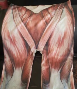 Muscle Print Leggings Size S/M (One Size) Halloween/Flayed Man/Anatomy - Picture 1 of 4