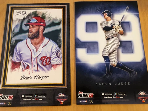 AARON JUDGE BRYCE HARPER MLB ALL STAR CARDBOARD POSTERS Cover