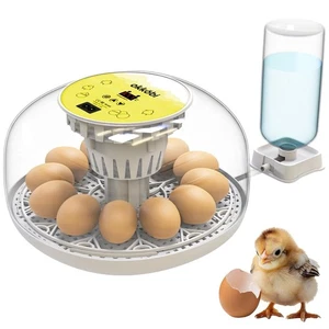Incubatrice automatica 12 / 24 uova Di Gallina e uccelli Temperatura Stabile - Foto 1 di 7