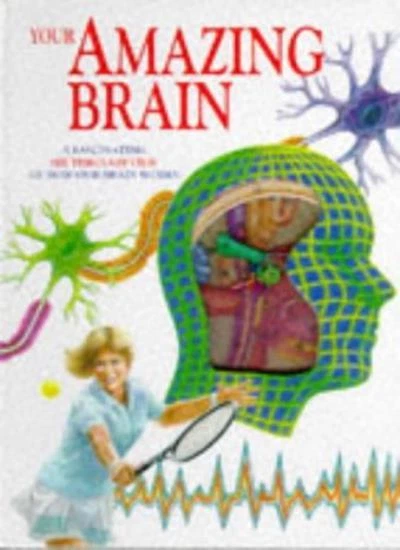 Your Amazing Brain By Jenny Bryan, Graham Chambers - Image 1 of 1