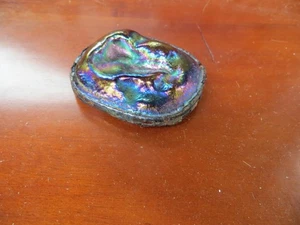 TIFFANY Studios FAVRILE Glass Turtle-Back Paperweights - One Peaces - Picture 1 of 7