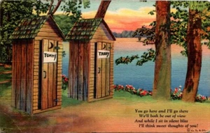 Linen Postcard Humor Outhouses "You go here and I'll go there" Tommy Tabby - Picture 1 of 2