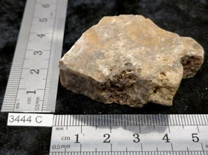 BOIS FOSSILE pierre brute mineraux collection pétrifié reiki esoterisme brut - Imagen 1 de 3