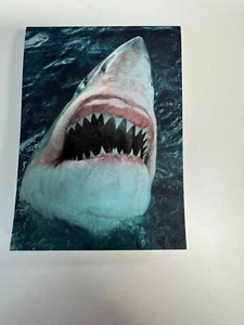 GREAT WHITE SHARK MINI NOTEPAD STEVE PARISH 2007 - Foto 1 di 4