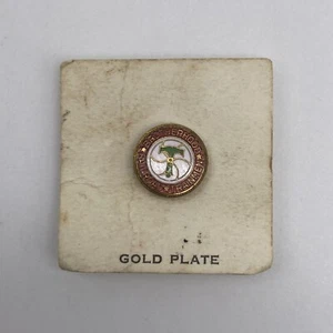 Vintage Brotherhood Of Railroad Trainmen Gold Played Pin New Old Stock - Picture 1 of 4