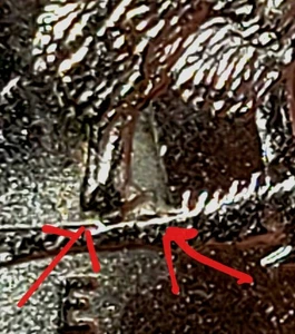 2005 P Buffallo Nickel /Incomplete Planchett Over Die? Extra Leg?Notable Find. - Picture 1 of 10