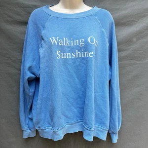 Sudadera Wildfox Walking on Sunshine Cuello Redondo Azul Difusa Talla M - Imagen 1 de 5