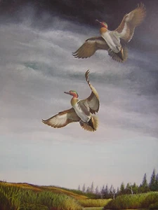 Ray Harm Greenwing Teal Duck Firmado Edición Limitada Impresión Artística Vida Silvestre - Imagen 1 de 1