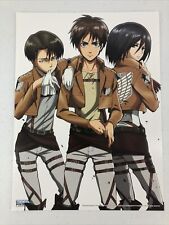 Attack on Titan Home Decor Anime Shingeki no Kyojin Cosplay Wall Scroll  Poster Fabric Painting Mikasa Ackerman 23.6 X 35.4 Inches-140