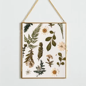 Brass Hanging Picture Frame,8X10 Double Glass Frame for Pressed Flowers, Clear D - Picture 1 of 12