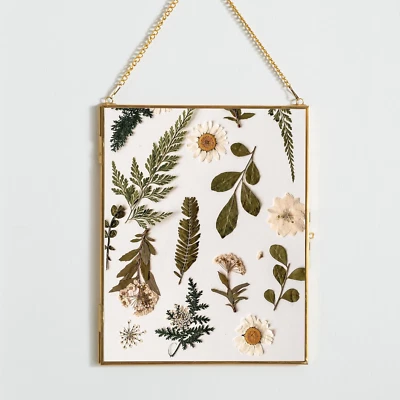 Brass Hanging Picture Frame,8X10 Double Glass Frame for Pressed Flowers, Clear D - Image 1 of 4
