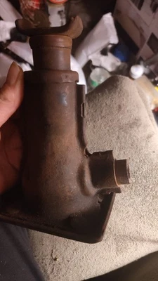 gato tornillo pequeño Foto 1 de 4