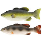  2 Pcs Artificial Fish Fake Educational Toy for Kids Vegetable