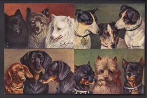 Animals Dogs 'Favourite Dogs' Tuck's Oilette #9645 set 6 +envelope artist Thomas - Picture 1 of 4
