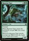 KLD-167 - Riparian Tiger - Magic - Tigre delle Rive