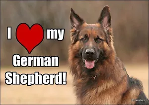 german Shepard refrigerator magnet 2 1/2 x 3 1/2 - Bild 1 von 1