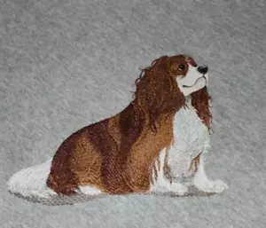 CAVALIER KING CHARLES Spaniel Personalized Embroidered Fleece Stadium Blanket - Bild 1 von 2